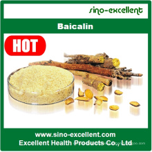 Hot Herbal Extract Natural 85% Baicalin Baical Skullcap Extract